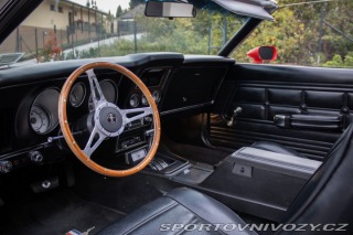 Ford Mustang Convertible 351 V8 (H-co 1973