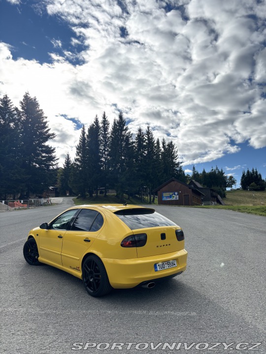 Seat Leon Cupra R 2003