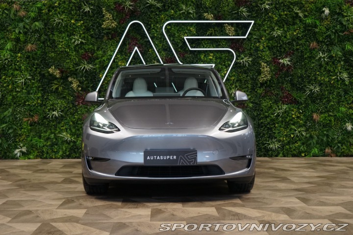 Tesla Model Y DUAL-MOTOR*PERFORMANCE* 2024