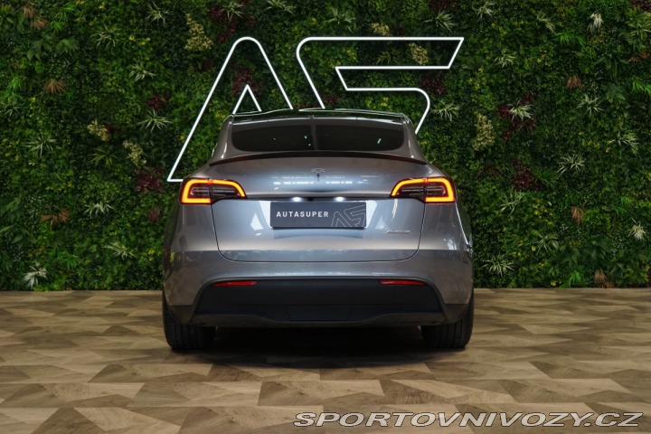 Tesla Model Y DUAL-MOTOR*PERFORMANCE* 2024