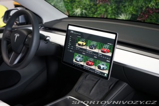 Tesla Model Y DUAL-MOTOR*PERFORMANCE* 2024