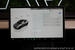 Tesla Model Y DUAL-MOTOR*PERFORMANCE* 2024