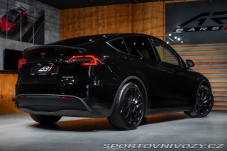Tesla Model Y Performance Dual AWD 2022