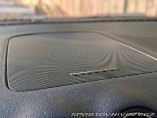 Ford Ostatní modely S-MAX 2,0 EcoBoost 147 kW • r 2013