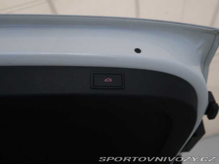 Škoda Kodiaq RS RS RS 2.0 TSI 2024