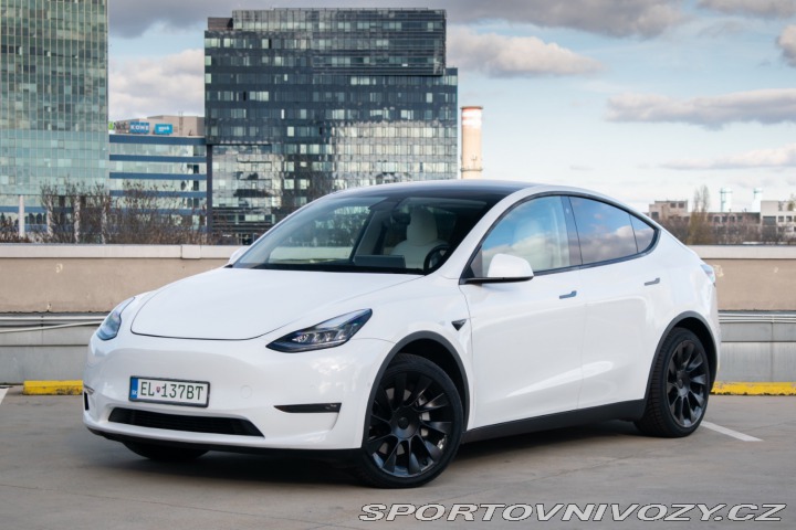 Tesla Model Y Long Range Dual Motor AJ 2020