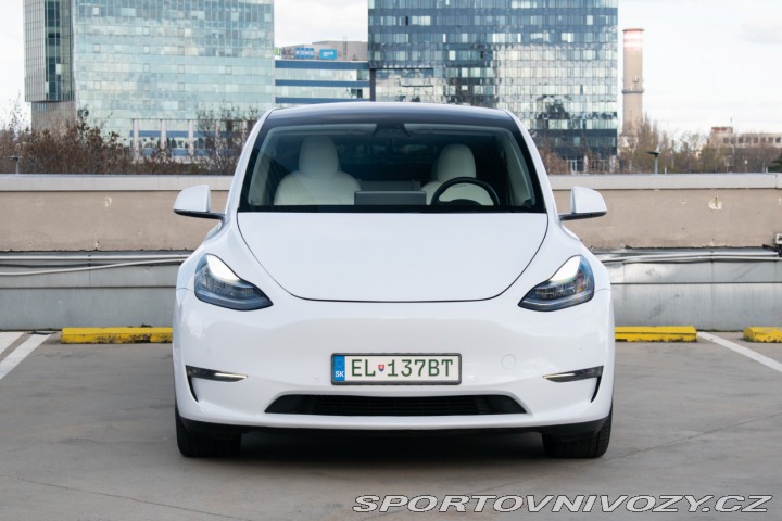 Tesla Model Y Long Range Dual Motor AJ 2020