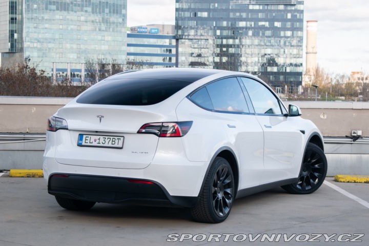 Tesla Model Y Long Range Dual Motor AJ 2020
