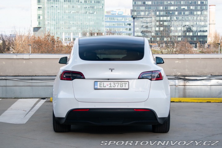 Tesla Model Y Long Range Dual Motor AJ 2020
