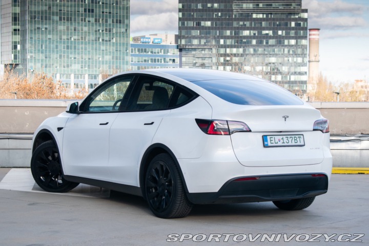 Tesla Model Y Long Range Dual Motor AJ 2020