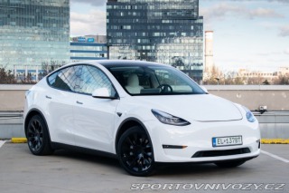 Tesla Model Y Long Range Dual Motor AJ 2020