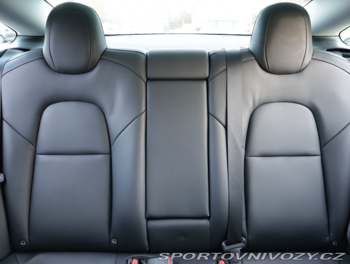 Tesla Model 3 Std Range Plus 52kWh 2020