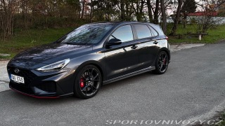 Hyundai i30 N Performance Sport TGDI 20