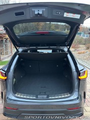 Lexus Ostatní modely NX 450 h+ 2023