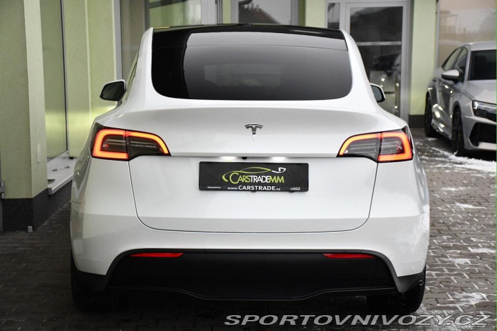 Tesla Model Y RWD STANDARD RANGE 1M 13t 2023