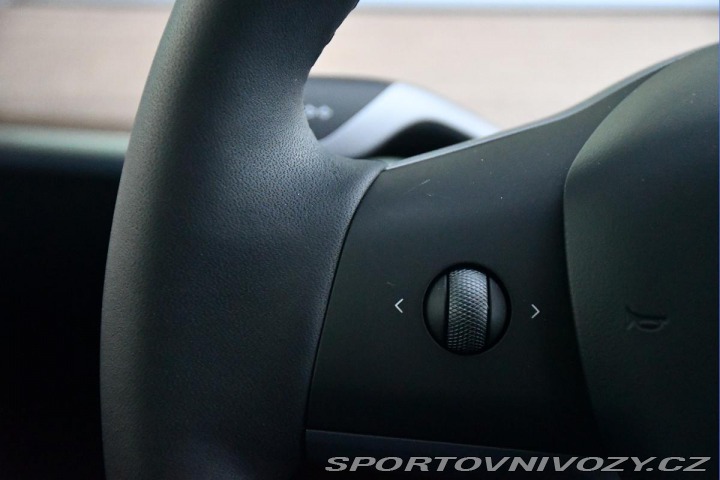 Tesla Model Y RWD STANDARD RANGE 1M 13t 2023