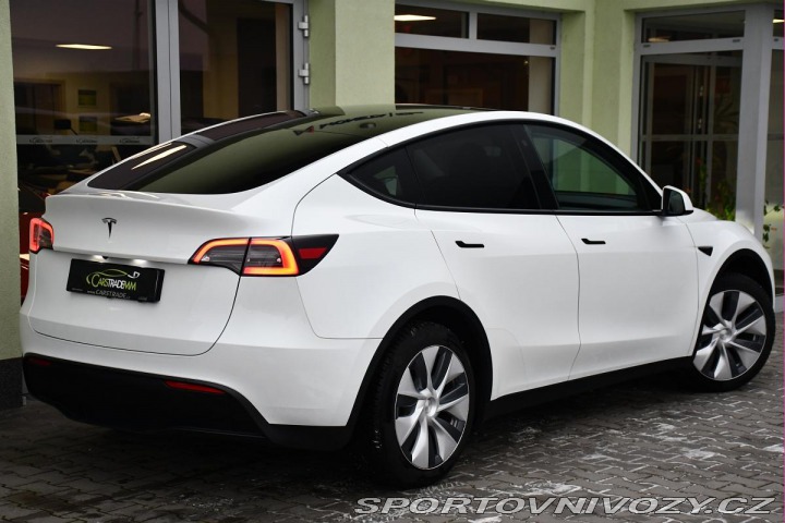Tesla Model Y RWD STANDARD RANGE 1M 13t 2023