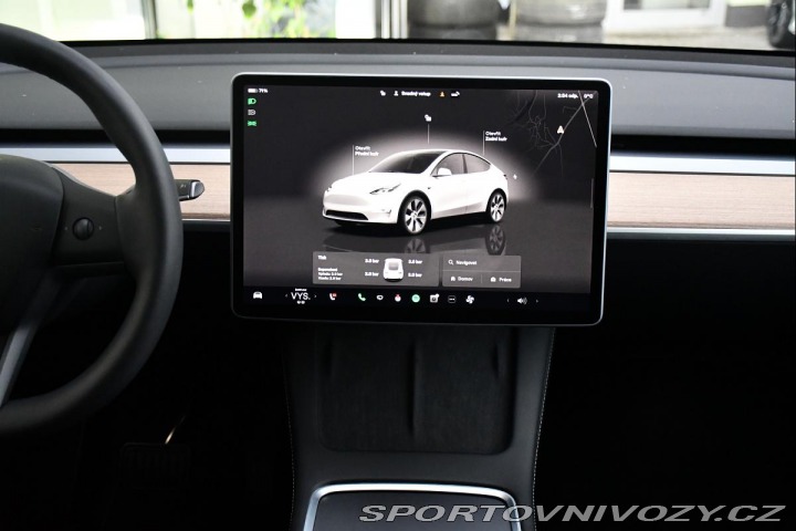 Tesla Model Y RWD STANDARD RANGE 1M 98% 2023