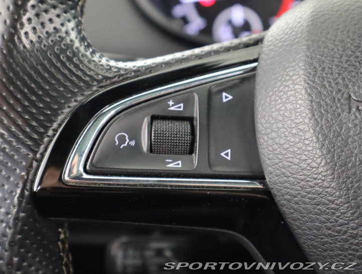 Škoda Octavia RS RS RS 2.0 TDI 2015