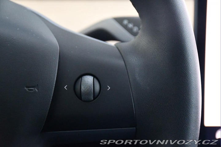 Tesla Model Y RWD STANDARD RANGE 1M 2022