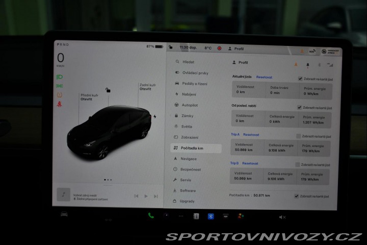 Tesla Model Y RWD STANDARD RANGE 1M 2022