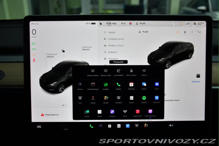 Tesla Model Y RWD STANDARD RANGE 1M 2022