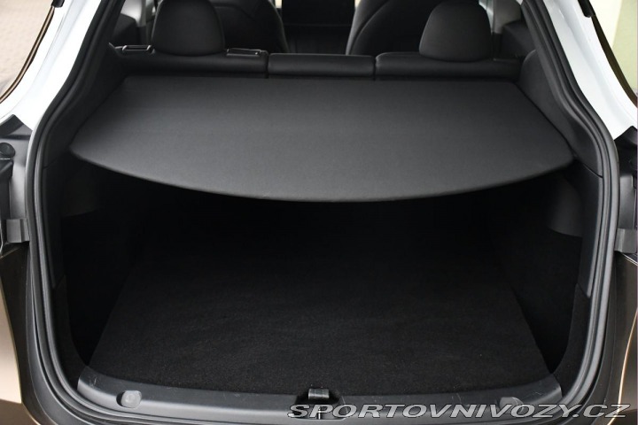 Tesla Model Y RWD STANDARD RANGE 1M 2022