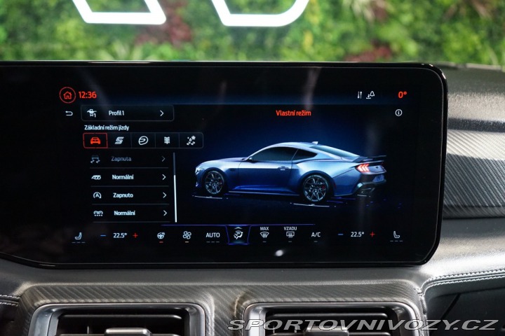 Ford Mustang GT*5.0*B&O*CAMERA*BRE 2024