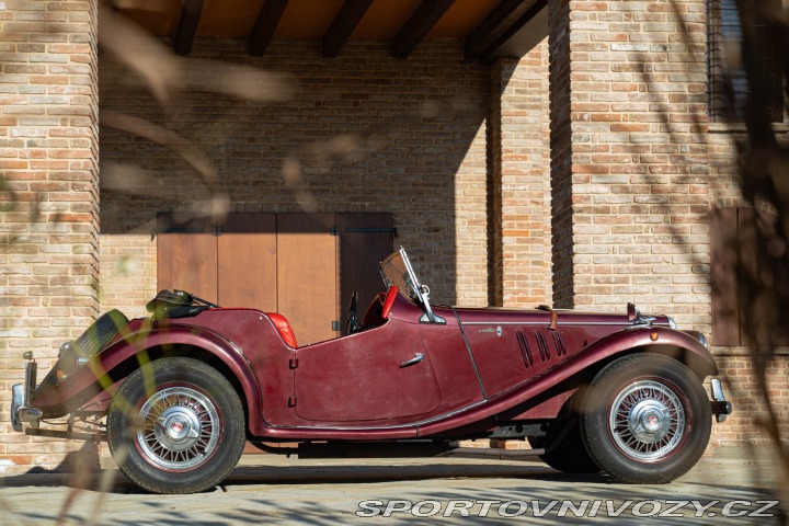 Fiat Ostatní modely 1100103 SPIDER MANTELLI 1954