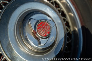 Fiat Ostatní modely 1100103 SPIDER MANTELLI 1954