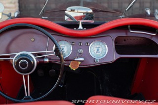 Fiat Ostatní modely 1100103 SPIDER MANTELLI 1954