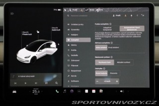 Tesla Model 3 Performance 82kWh 2021