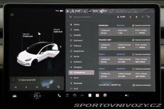 Tesla Model 3 Performance 82kWh 2021