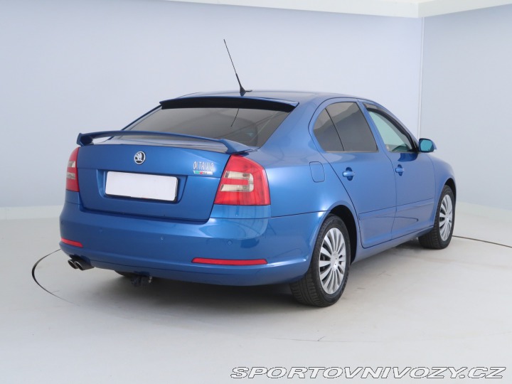 Škoda Octavia RS RS RS 2.0 TDI 2007