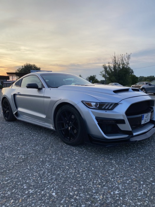 Ford Mustang 