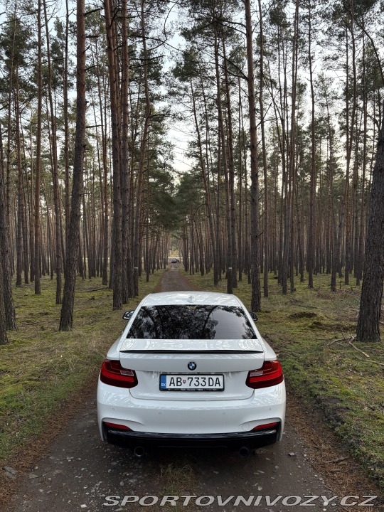 BMW 2 BMW f22 m235i 2014