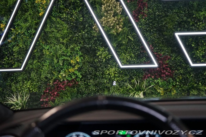 Mercedes-Benz AMG GT 43*4M+*PANO*EXCLUSIV*MAGN 2019