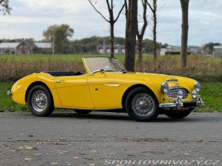   Austin Healey 100 6