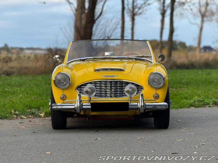 Ostatní značky Ostatní modely Austin Healey 100 6 1957