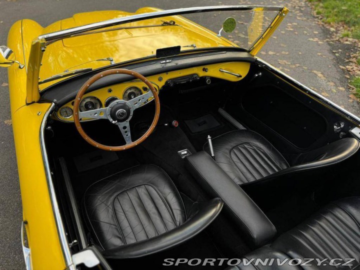 Ostatní značky Ostatní modely Austin Healey 100 6 1957