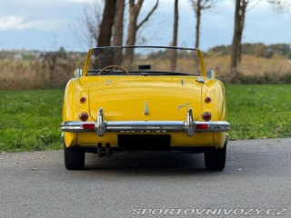 Ostatní značky Ostatní modely Austin Healey 100 6 1957