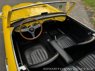 Ostatní značky Ostatní modely Austin Healey 100 6 1957