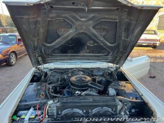 Ostatní značky Ostatní modely Cadillac DeVille full-size luxury coupe 1965