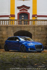 Audi RS3 RS3 8V Performance