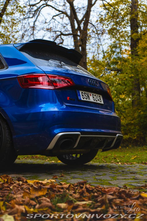 Audi RS3 RS3 8V Performance 2016