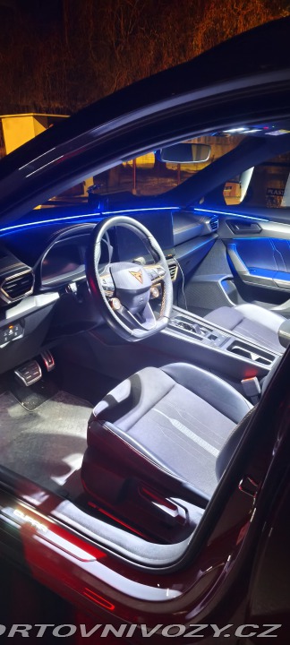 Cupra Formentor VZ 2.0TSI 4x4 228kw REMUS 2021