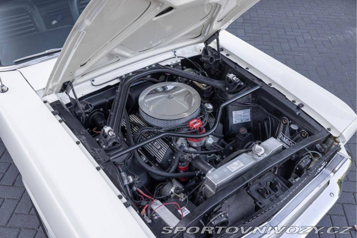Ford Mustang Fastback 289 1965