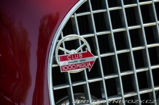 Ostatní značky Ostatní modely Ermini Tinarelli Sport 1100 1951