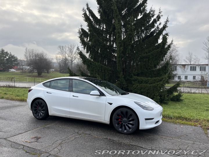 Tesla Model 3 Performance 2021
