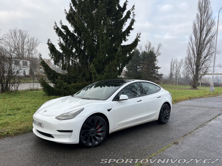 Tesla Model 3 Performance 2021